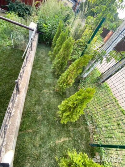 Рулонный газон для небольшого участка