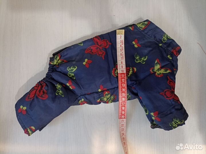 Зимняя одежда для собак