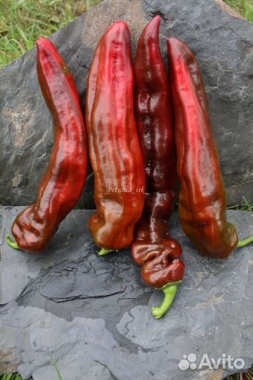 Семена перца сладкий Рамиро