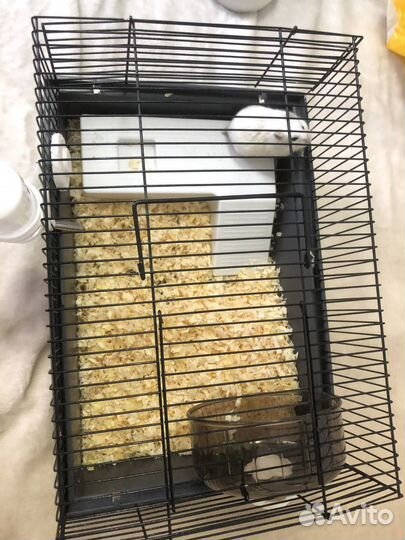 Продаю хомяку с клеткой