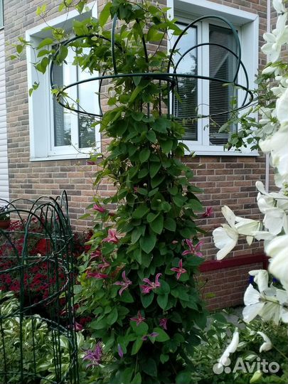 Садовая опора под клематисы 