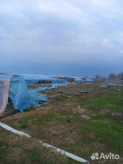 Теплицы бесплатно