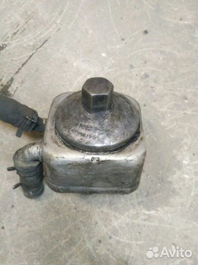 Радиатор масляный Volkswagen Passat B5