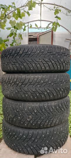 Nokian Tyres Hakkapeliitta 8 175/65 R14 86