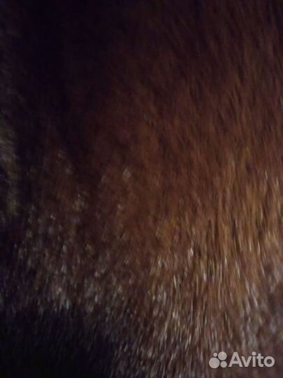 Шуба норковая 50,54.размер