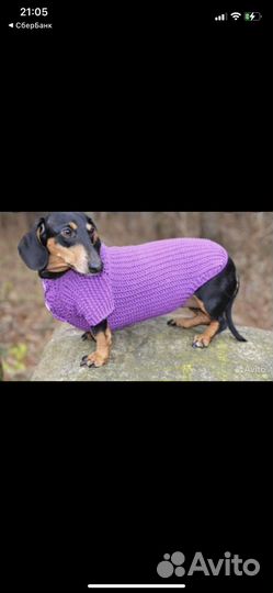 Одежда для собак и кошек