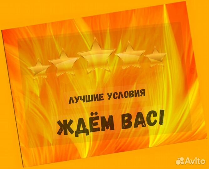 Сортировщик Еженедельный аванс Спецодежда М/Ж