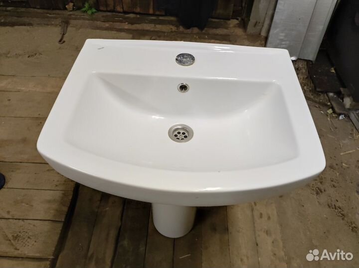 Раковина тюльпан