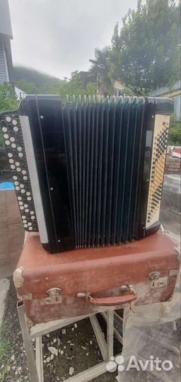 Баян тульский