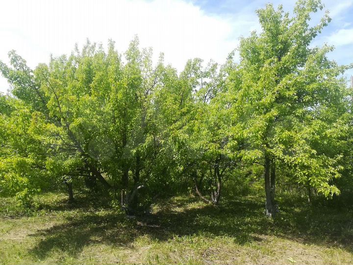 Участок 7,5 сот. (СНТ, ДНП)