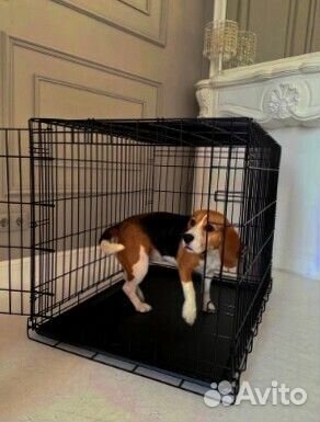 Клетка для животных