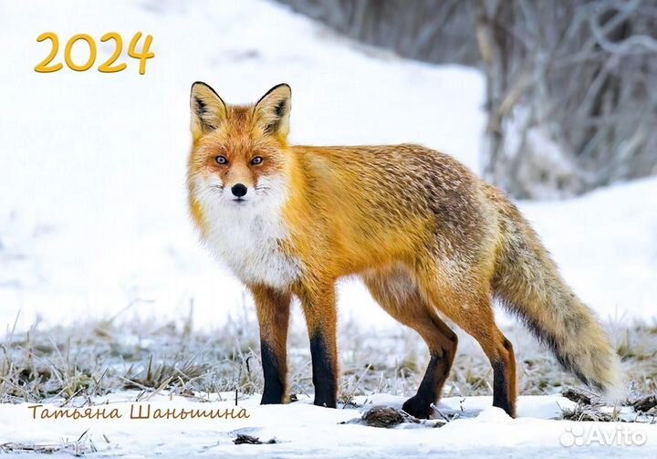 Календарики