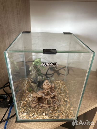 Аквариум