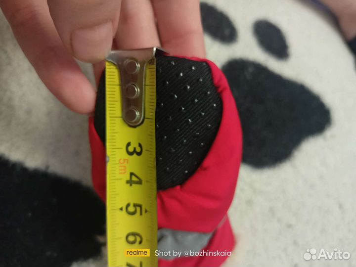 Обувь для маленьких собак