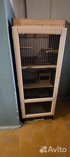 Клетка витрина