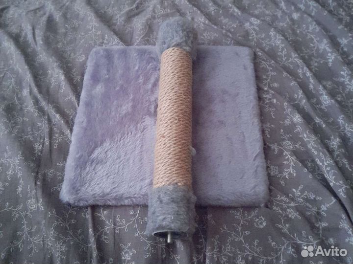 Когтеточка