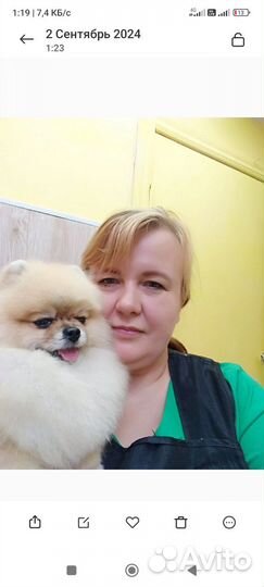 Грумер