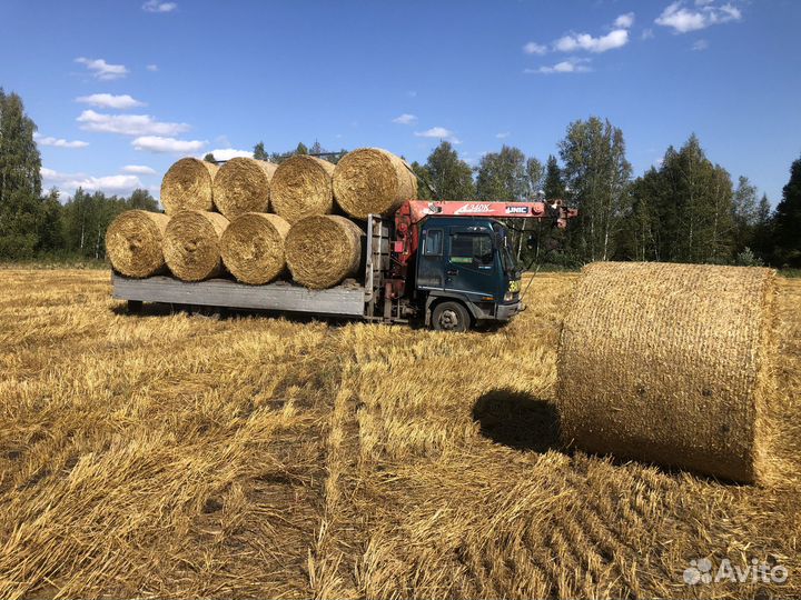 Солома в тюках