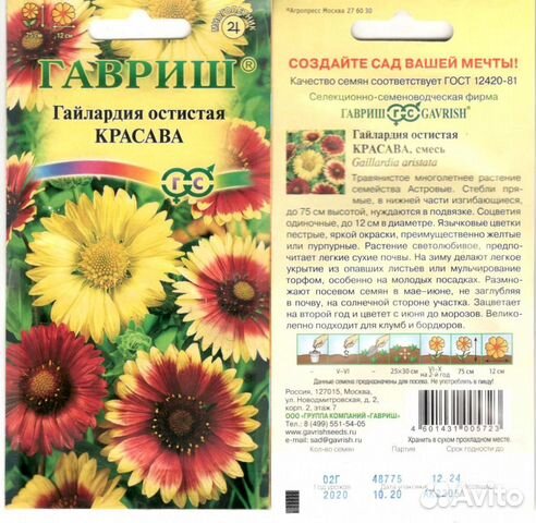 Рассада многолетних цветов купить в Асбесте | Товары для дома и дачи ...