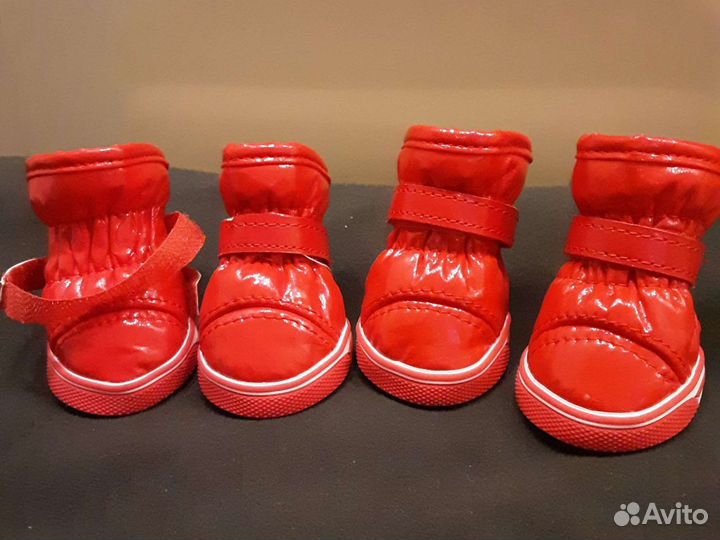 Ботинки, обувь для собак