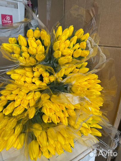 Тюльпаны к 8 марта оптом