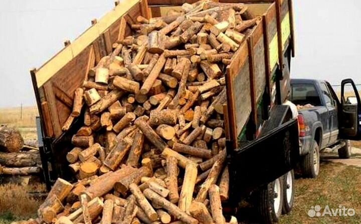 Дрова на дачу в баню