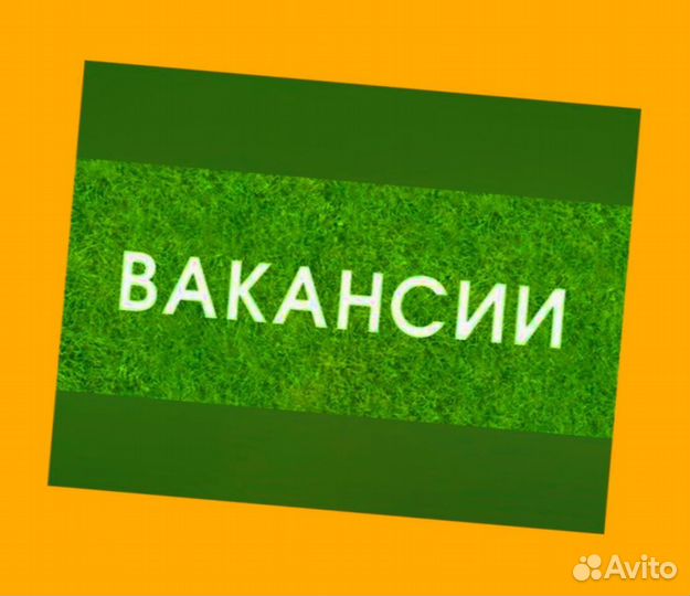 Маркировщик Еженедельный аванс М/Ж Спецодежда