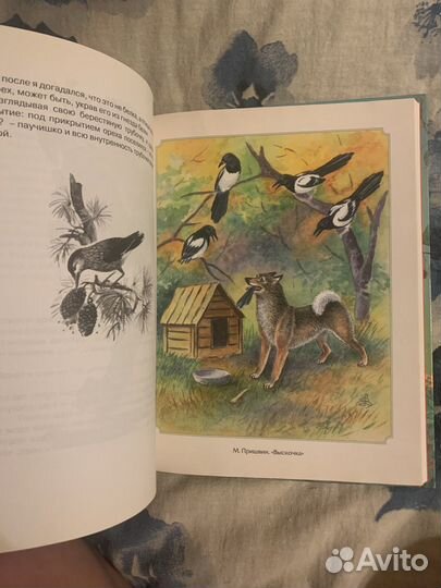 Хрестоматия 300 страниц про зверей и птиц