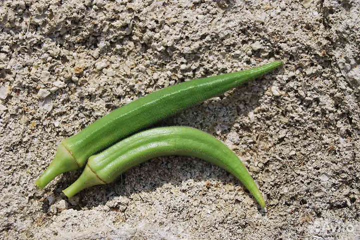 Бамия Клемсон (семена)