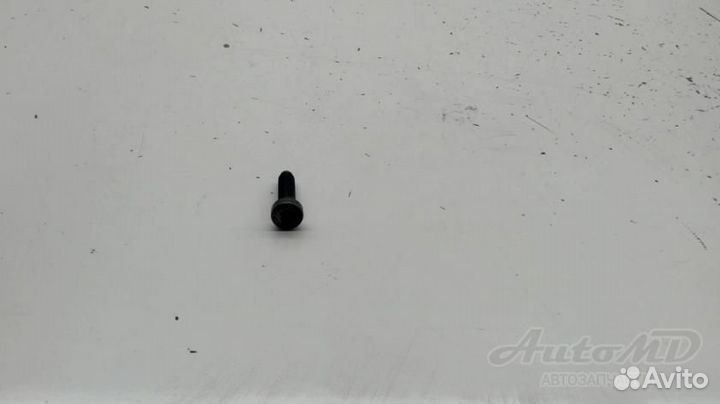 Болт крепления пластины Citroen Berlingo