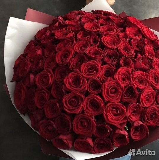 101 Роза Цветы 201 Розы доставка