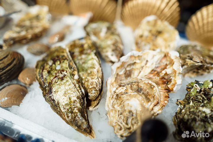 Подарочный сертификат на живые морские деликатесы