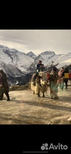 Шкуры яка и волка