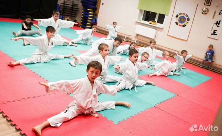 Будо маты Оптом