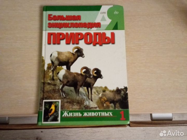 Серия книг