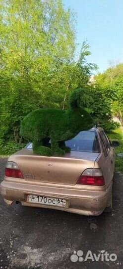 Топиари фигуры садовые