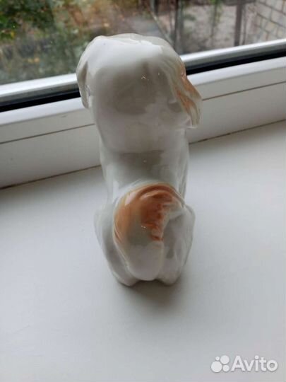 Пекинес СССР