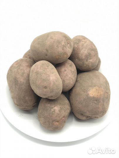 Картофель лук овощи оптом