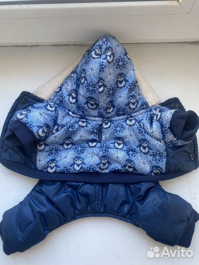 Одежда для собак