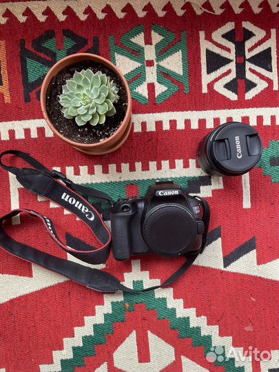 Зеркальный фотоаппарат canon eos250D