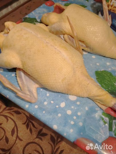 Мясо утки мулард