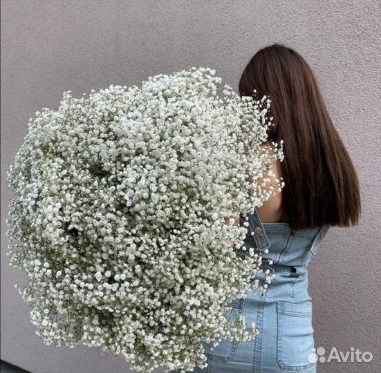 WOW Букеты-гиганты Гипсофилы