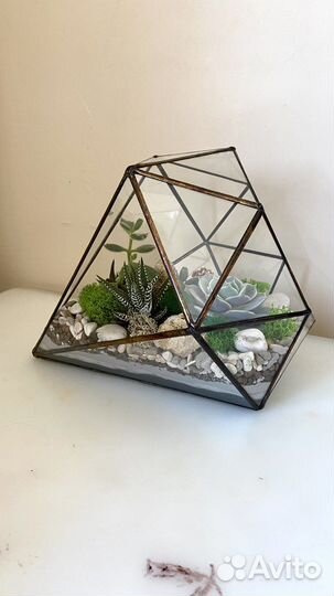 Флорариум «Бриллиант» - удивит любого
