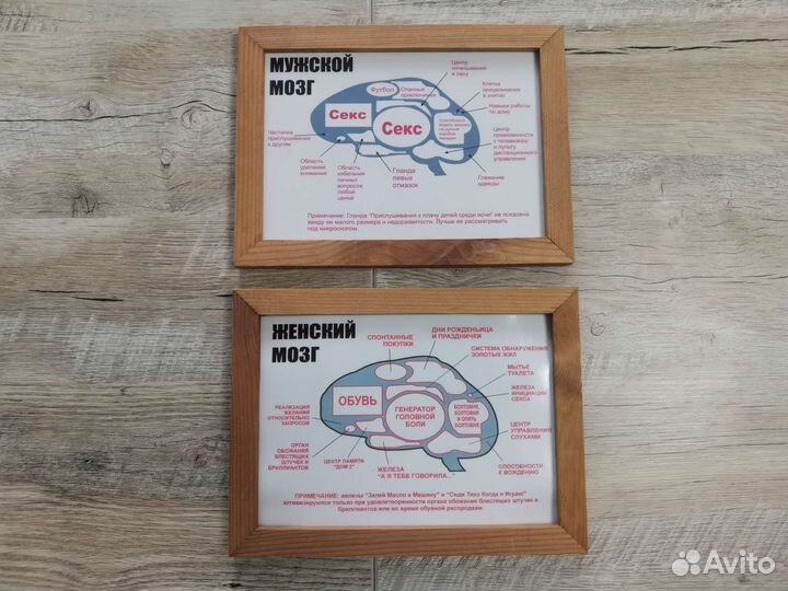 Постер в рамке мужской и женский мозг(цена за оба)