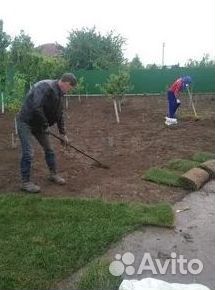 Газон от производителя