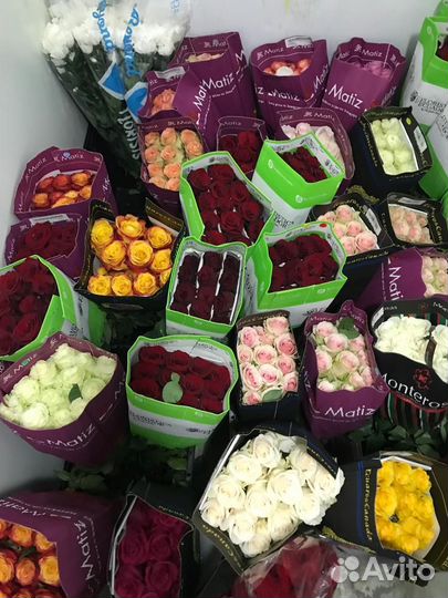 Цветы оптом Доставка, цветы Розы