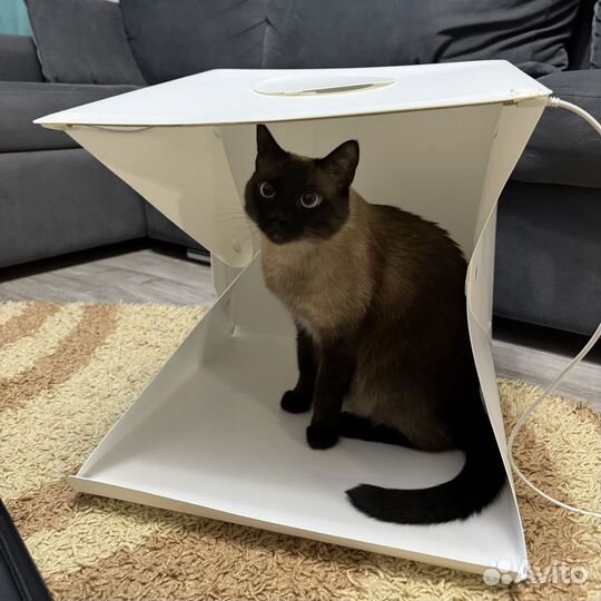 Лайтбокс для предметной съёмки