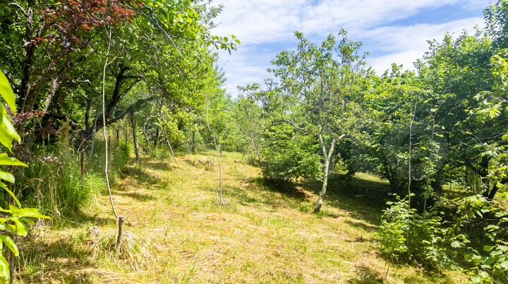 Участок 10 сот. (СНТ, ДНП)