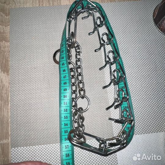 Строгий ошеник для собак