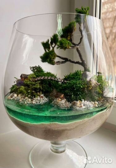 Флорариум Моссариум